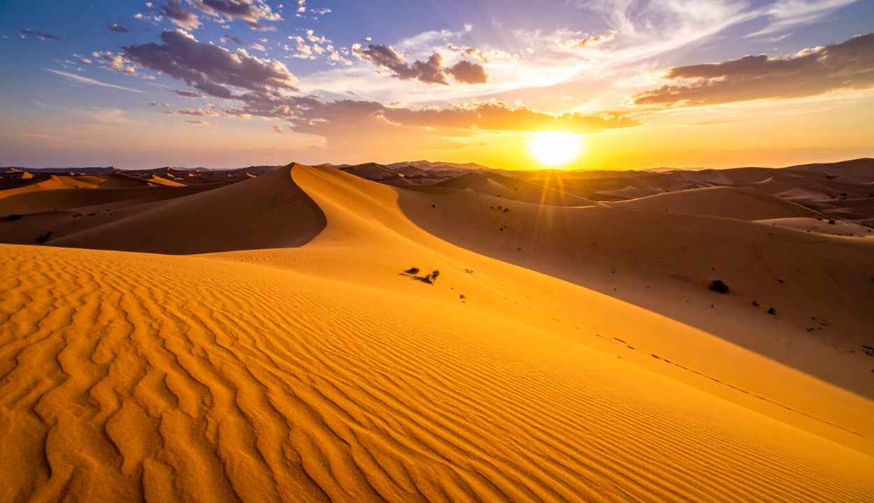 Luxury Desert Camp Package
